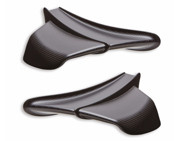 Carbon Winglets Pani V4 2020/21